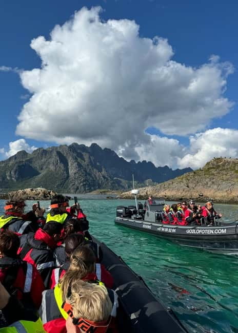 From Svolvær: RIB Boat Lofoten Trollfjord Sea Eagle Safari - Who should book this tour?
