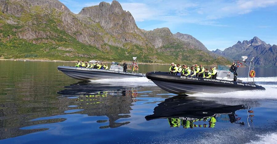 From Svolvaer: Trollfjorden Wildlife RIB Cruise - Key points before you book