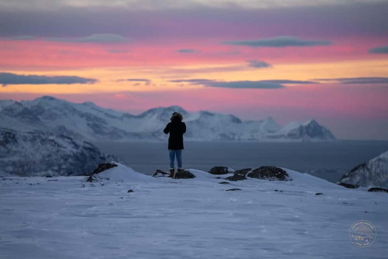 From Tromsø: Arctic Roadtrip: fjords tour with scenic picnic - The free photos are worth more than a small souvenir