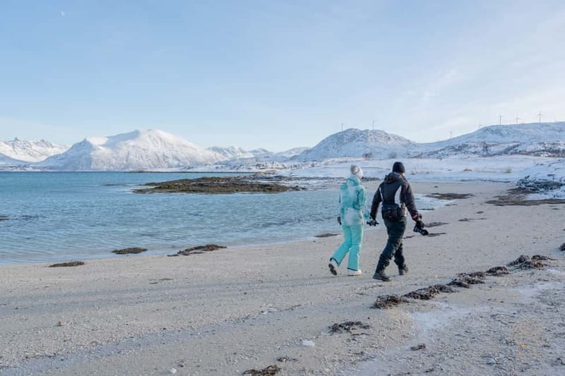 From Tromsø: Arctic Roadtrip: fjords tour with scenic picnic - Comfort, walking, and what to pack