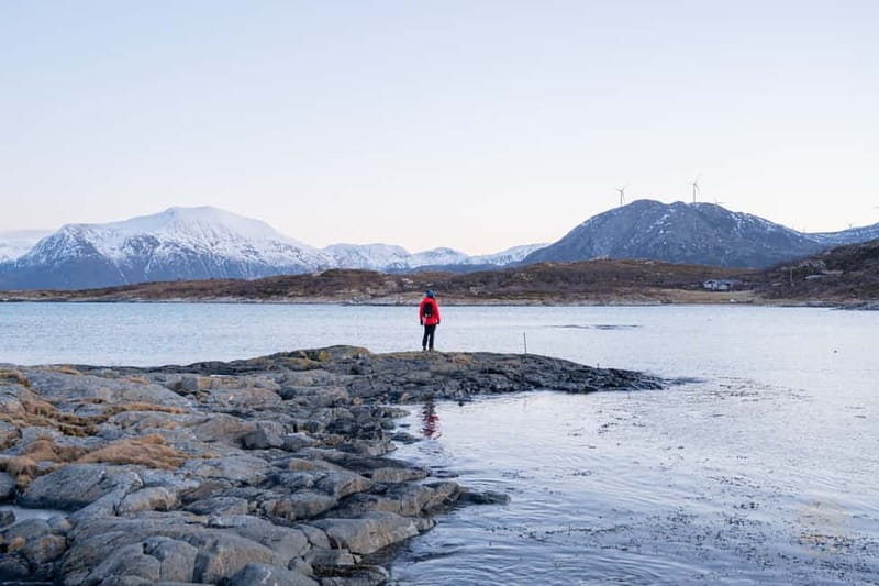 From Tromsø: Arctic Roadtrip: fjords tour with scenic picnic - Is $146 a fair price?
