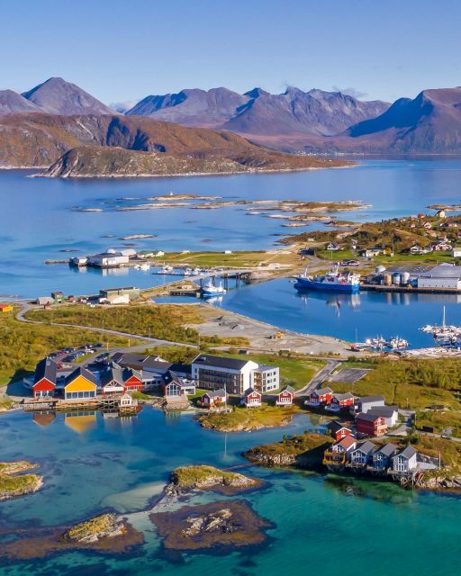 From Tromsø: Arctic Wildlife & Fjord Sightseeing Tour by Car - Ersfjordbotn gives you time to slow down