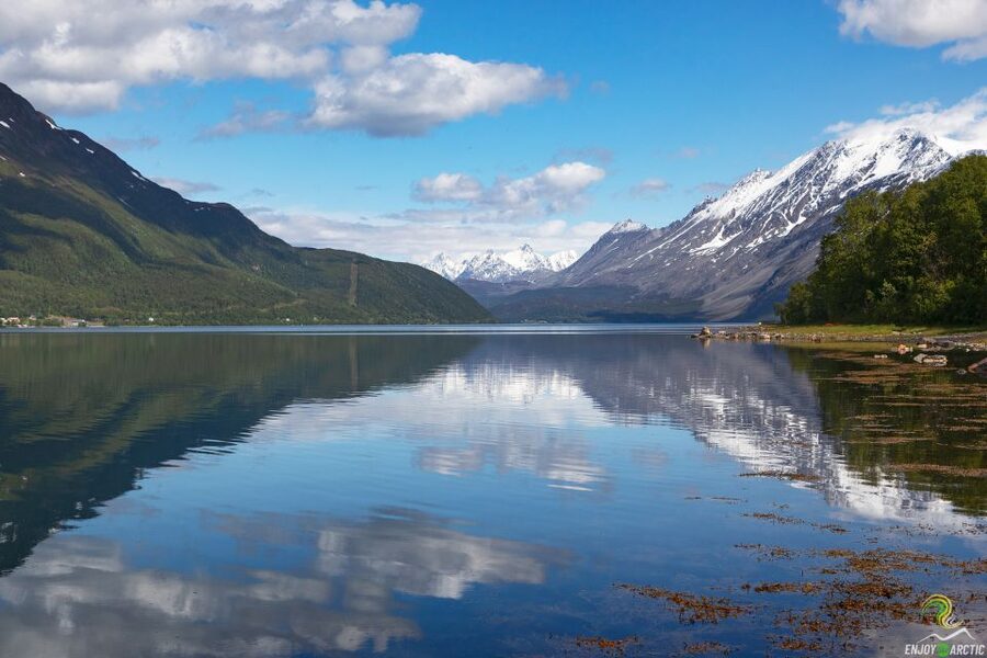 From Tromso: Norwegian Fjords Half-Day Tour - Key points to know before booking