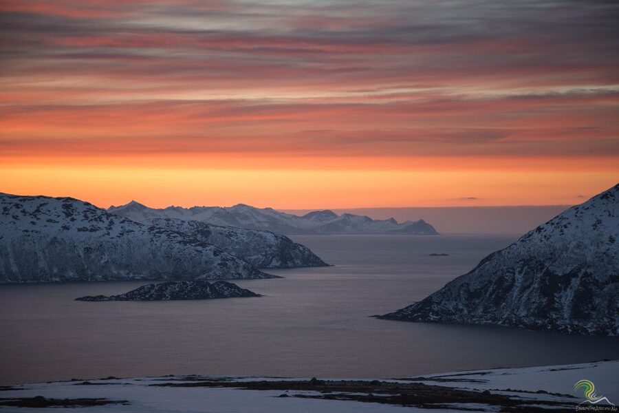 From Tromso: Norwegian Fjords Half-Day Tour - The minibus ride around the Whale Island