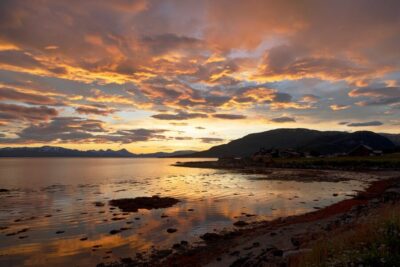 Norwegian Fjords Half-Day Tour