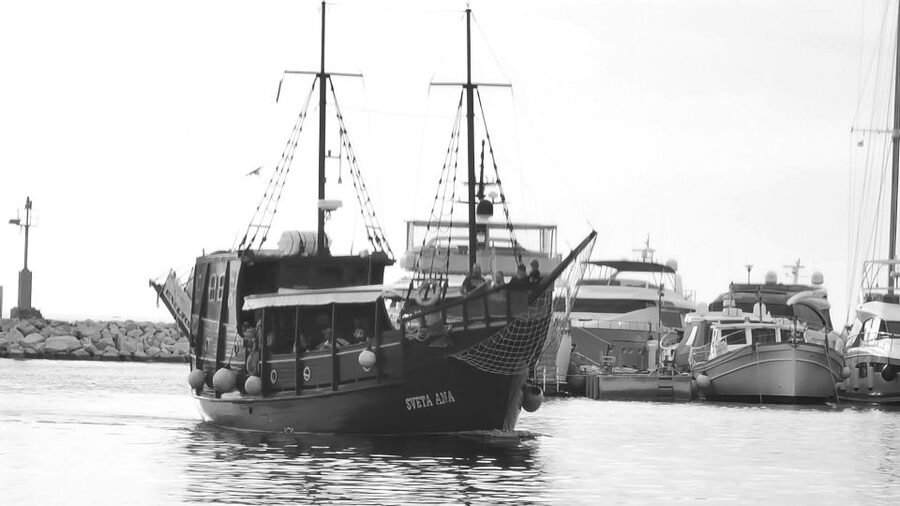 From Vrsar: Boat Trip to Rovinj and Lim Fjord - The pace, comfort, and practical feel