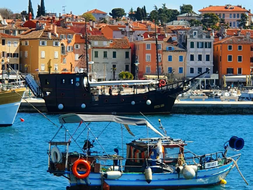 From Vrsar: Boat Trip to Rovinj and Lim Fjord - Should you book the Vrsar boat trip?