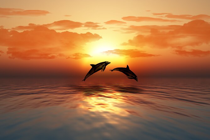 Full day Dhow: Khasab, Musandam: Dolphins, Snorkeling & Fjords - Swimming, snorkeling, and kayaking in clear water