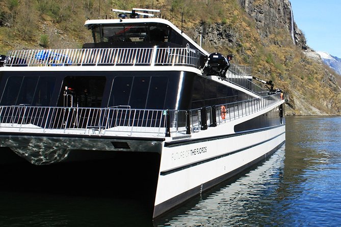 Full Day Guided Roundtrip From Bergen To Sognefjord With Flam Railway - The two-hour cruise through Nærøyfjord and Aurlandsfjord