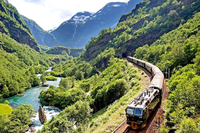 Full Day Guided Roundtrip From Bergen To Sognefjord With Flam Railway - What the private guide adds