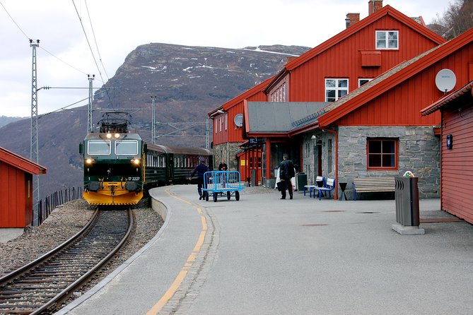 Full Day Guided Roundtrip From Bergen To Sognefjord With Flam Railway - By bus through the mountains to Gudvangen