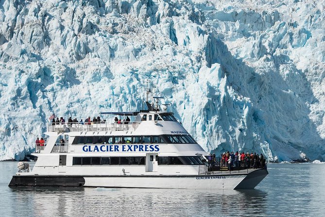 Full-Day Kenai Fjords National Park Cruise - From Resurrection Bay to the outer coast