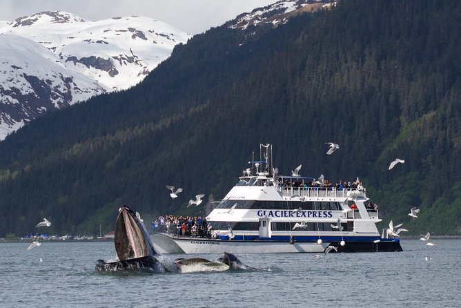 Full-Day Kenai Fjords National Park Cruise - What lunch and the cabin are really like