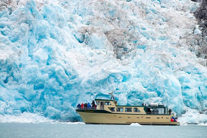 Full-Day Kenai Fjords National Park Northwestern Cruise - A serious wildlife day