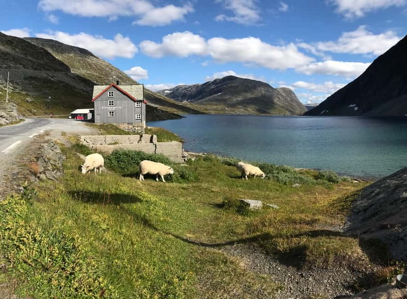 Geiranger Fjord: Downhill Self-Guided Bike Tour - What the Self-Guided Format Really Means