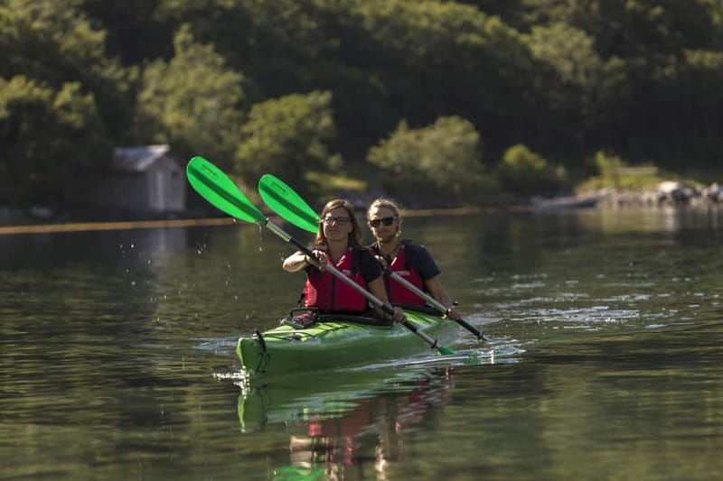 Geiranger: Guided Kayak Tour in Geiranger Fjord - From Geirangervegen 10 to the water