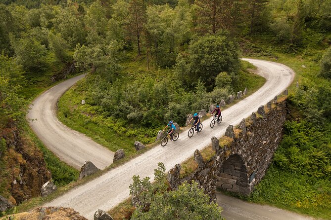 Geiranger: Sky to Fjord Downhill Biking Adventure - The road is the real attraction