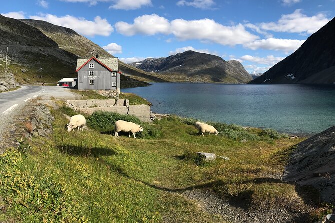 Geiranger: Sky to Fjord Downhill Biking Adventure - Why the small group size helps
