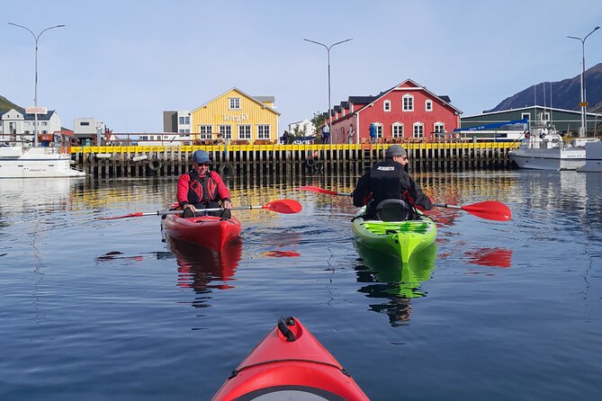 Guided kayak tour in Siglufjörður / Siglufjordur. - Key points to know before you book