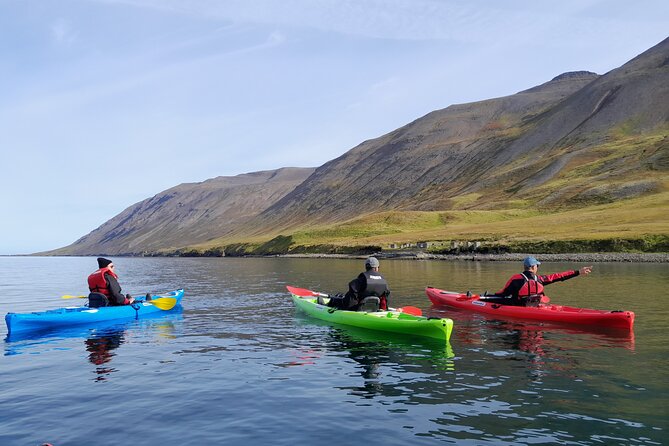 Guided kayak tour in Siglufjörður / Siglufjordur. - Following the route through Sigló fjord
