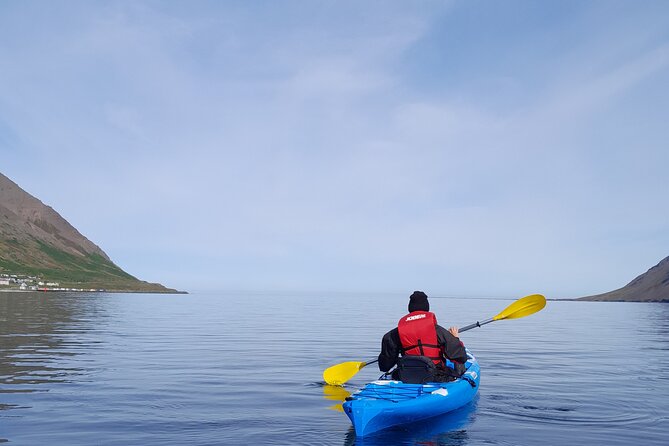 Guided kayak tour in Siglufjörður / Siglufjordur. - Is $97.43 a fair price?
