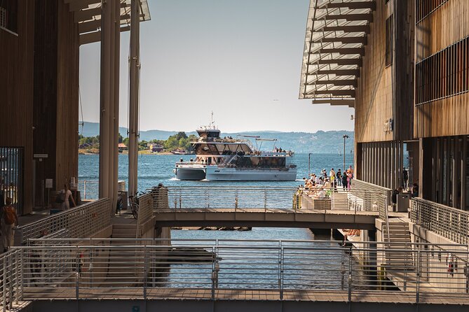 Guided Sightseeing Cruise on Oslofjord by Premium Silent Boat - Islands, wildlife, and the quieter side of Oslo