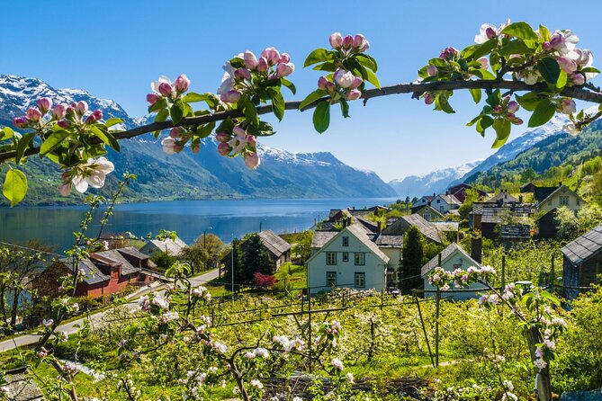 Guided tour - Hardangerfjord, Voss Gondola & 3 Great Waterfalls - A full day from Bergen into fjord country