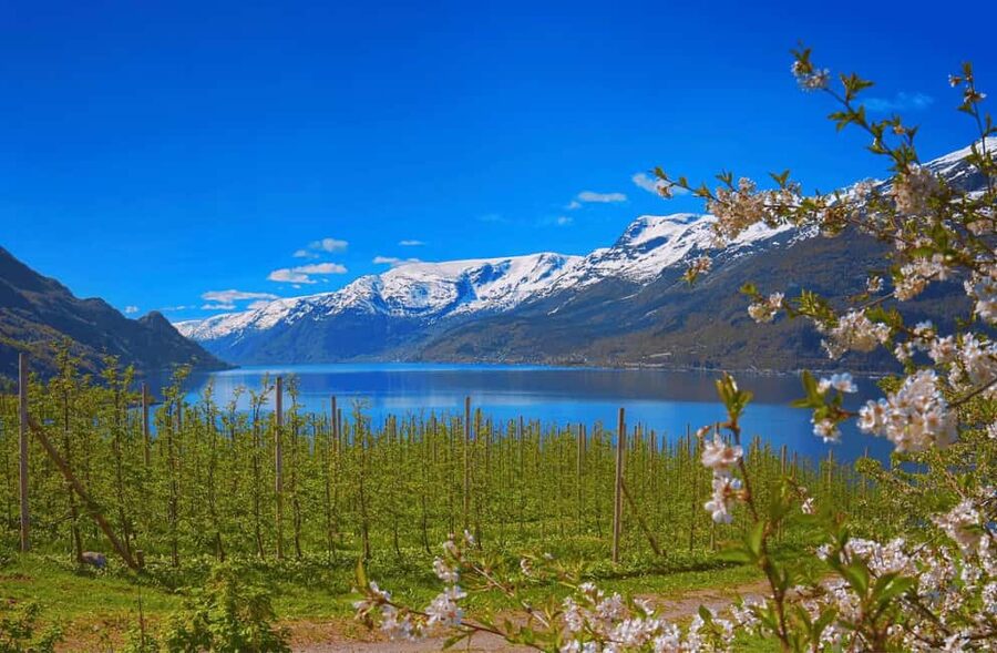 Guided tour: Hardangerfjord, Waterfalls and Ferry crossing - Why this route works so well from Bergen