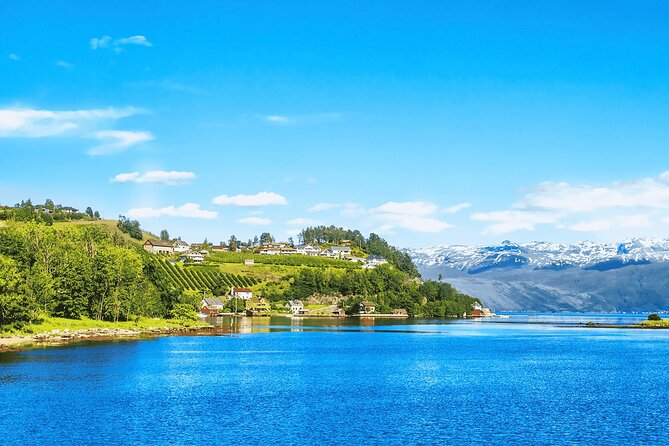 Guided tour to Hardangerfjord with Waterfalls and Ferry Crossing - Steinsdalsfossen is the star stop