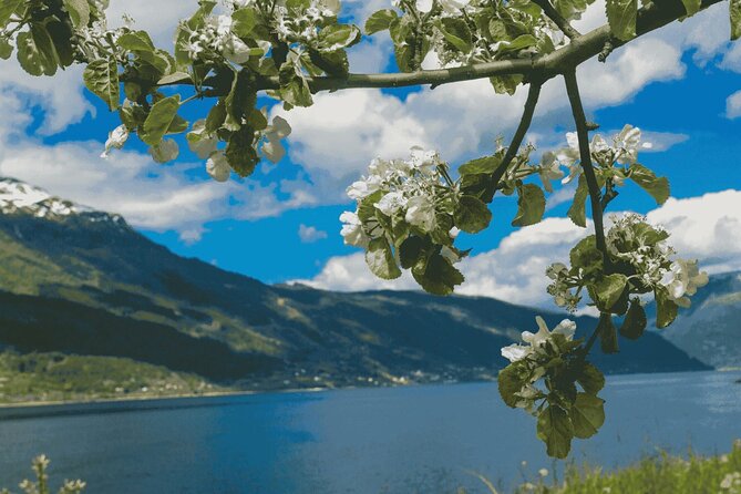 Guided tour to Hardangerfjord with Waterfalls and Ferry Crossing - Norheimsund is your practical lunch stop