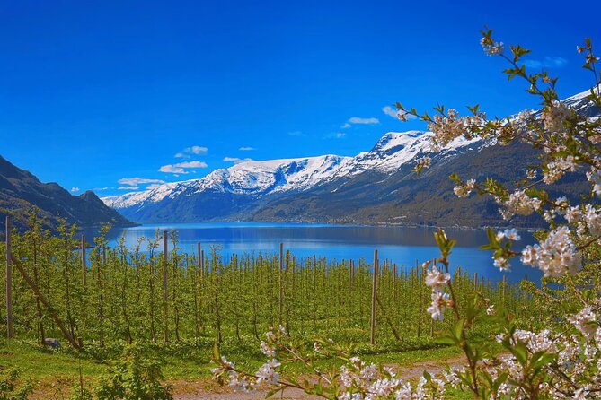 Guided tour to Hardangerfjord with Waterfalls and Ferry Crossing - Two quick waterfalls before the main attraction
