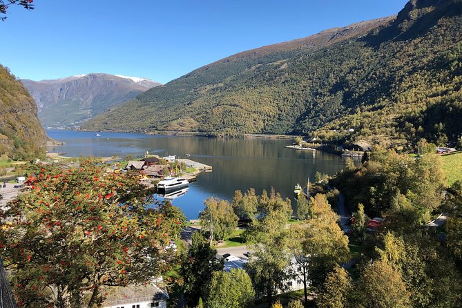 Guided Tour To Nærøyfjorden, Flåm And Stegastein - Viewpoint Cruise - Stegastein: the view that justifies the mountain road