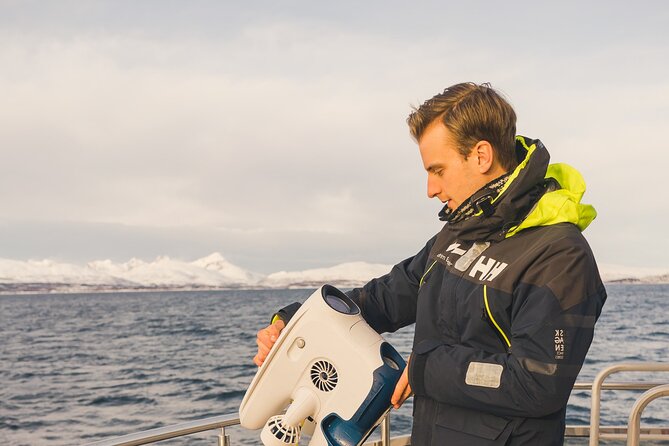 Half Day Arctic Fjord Cruise from Tromso - Key points to know before you book