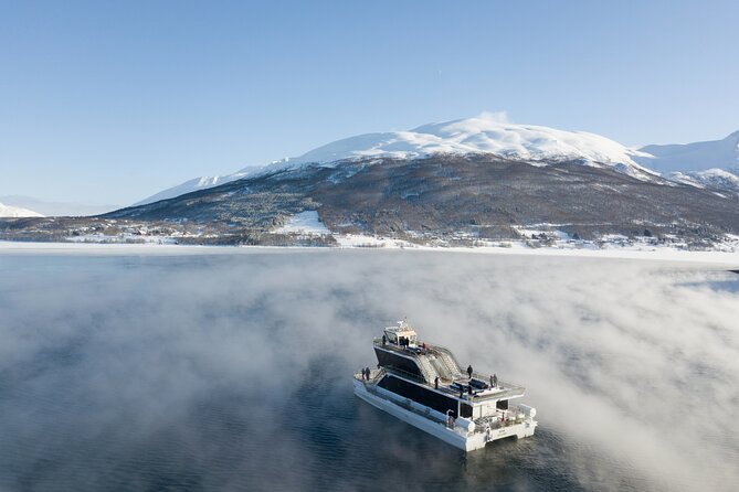 Half Day Arctic Fjord Cruise from Tromso - Tromso’s fjords from a quiet electric boat