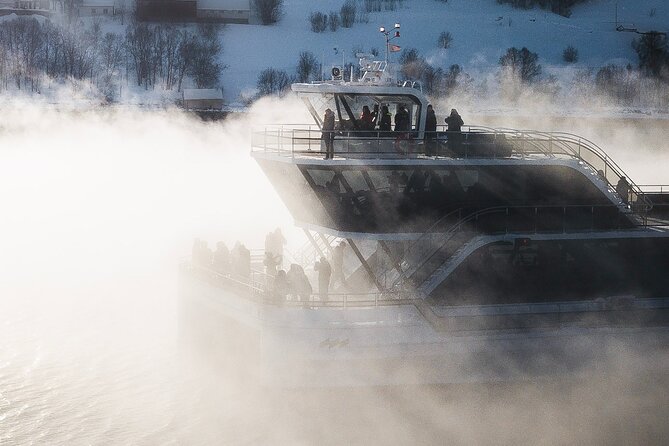 Half Day Arctic Fjord Cruise from Tromso - Four hours at sea, without giving up comfort
