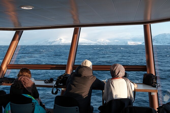 Half Day Arctic Fjord Cruise from Tromso - How much value do you get for $128.31?