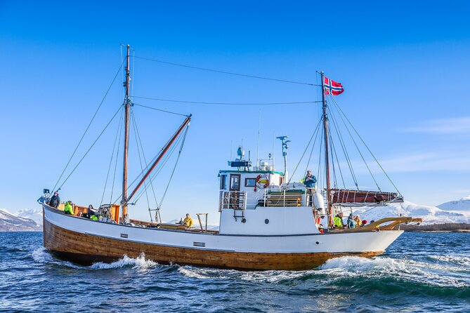 Half-Day Fishing & Fjord Cruise Adventure from Tromsø in Norway - Tromsø’s landmarks from the water