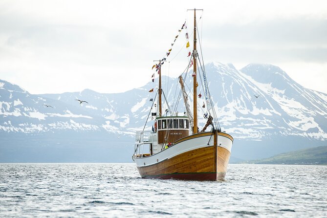 Half-Day Fishing & Fjord Cruise Adventure from Tromsø in Norway - How the cod fishing works