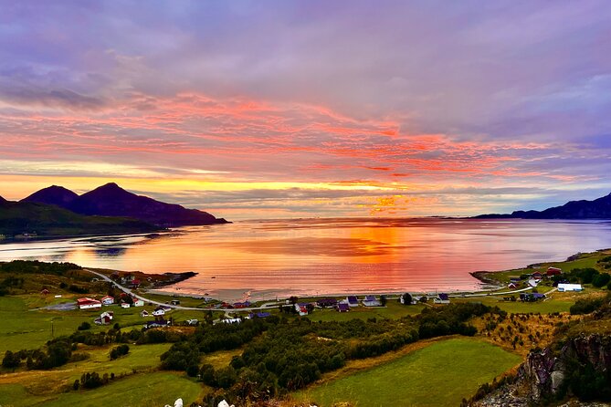 Half-Day Scenic Wildlife & Photographic Fjord Tour. - Leaving Tromsø for Kvaløya’s fjords