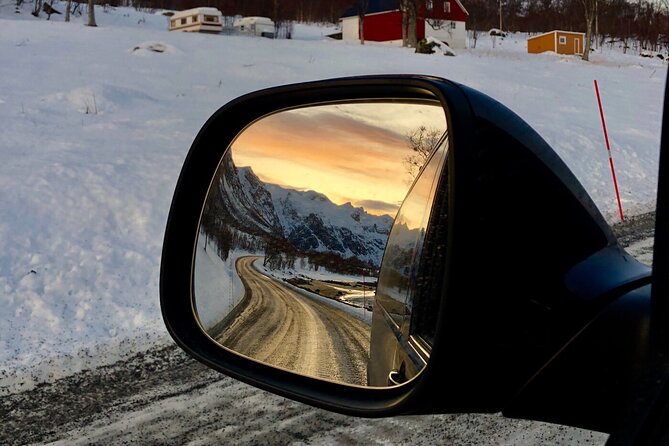 Half-Day Scenic Wildlife & Photographic Fjord Tour. - Blue winter days and the northern light