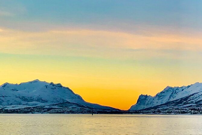 Half-Day Scenic Wildlife & Photographic Fjord Tour. - A small group with a personal feel