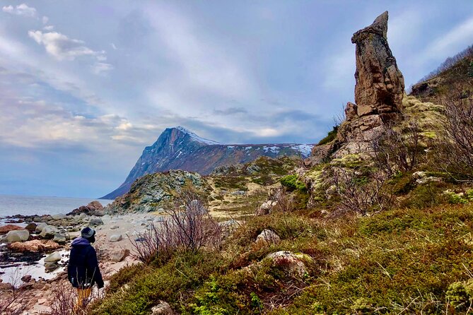 Half-Day Scenic Wildlife & Photographic Fjord Tour. - Who will enjoy this Kvaløya tour most