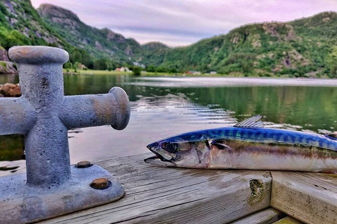 Inshore fishing in the Drangefjord - Key points at a glance