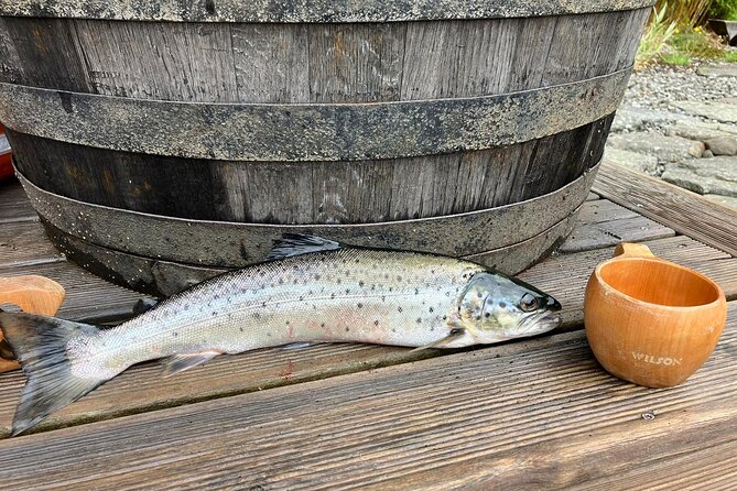Inshore fishing in the Drangefjord - What you might catch in the fjord