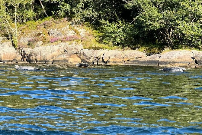 Inshore fishing in the Drangefjord - Practical details before you book