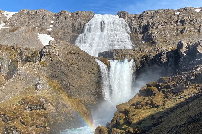 Isafjordur and Westfjords Private Tour - Key points to know before booking