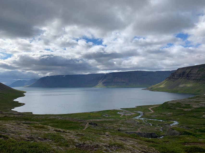 Isafjordur: Dynjandi Waterfall Tour and Icelandic Farm Visit - Why this half-day tour works in the Westfjords