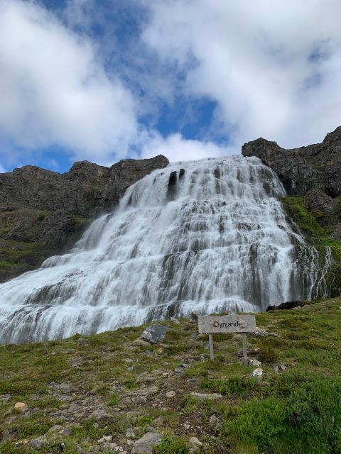 Isafjordur: Dynjandi Waterfall Tour and Icelandic Farm Visit - Guides who make the difference