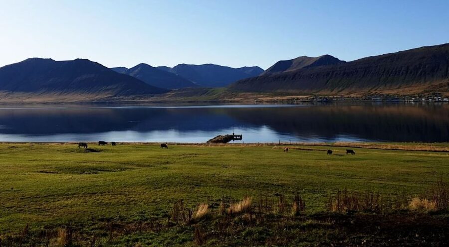 Isafjordur: Dynjandi Waterfall Tour and Icelandic Farm Visit - FAQ