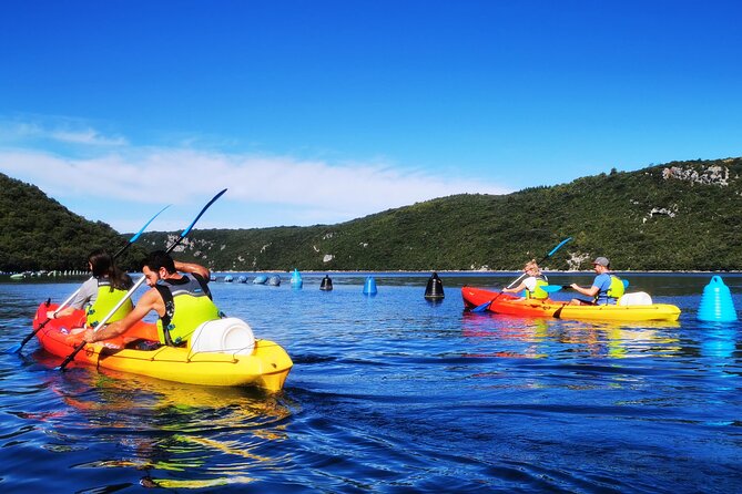 Kayaking Experience in Lim Bay Sea in The Croatian Fjord - What the $65.90 price includes